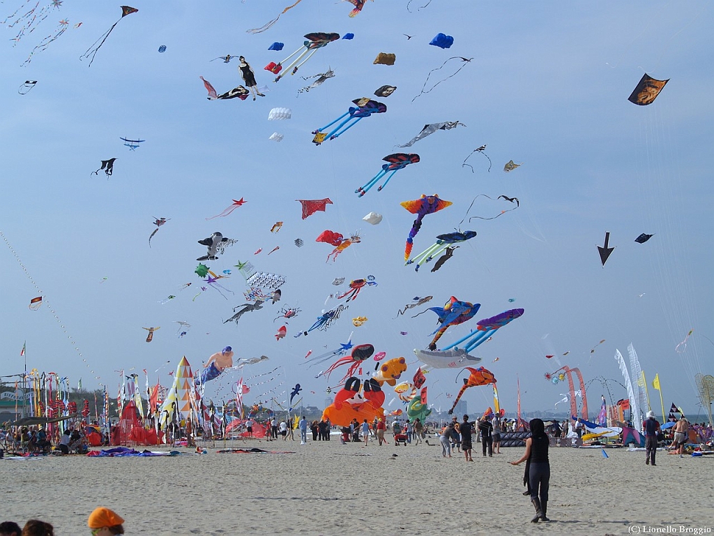 L0300305-a.jpg