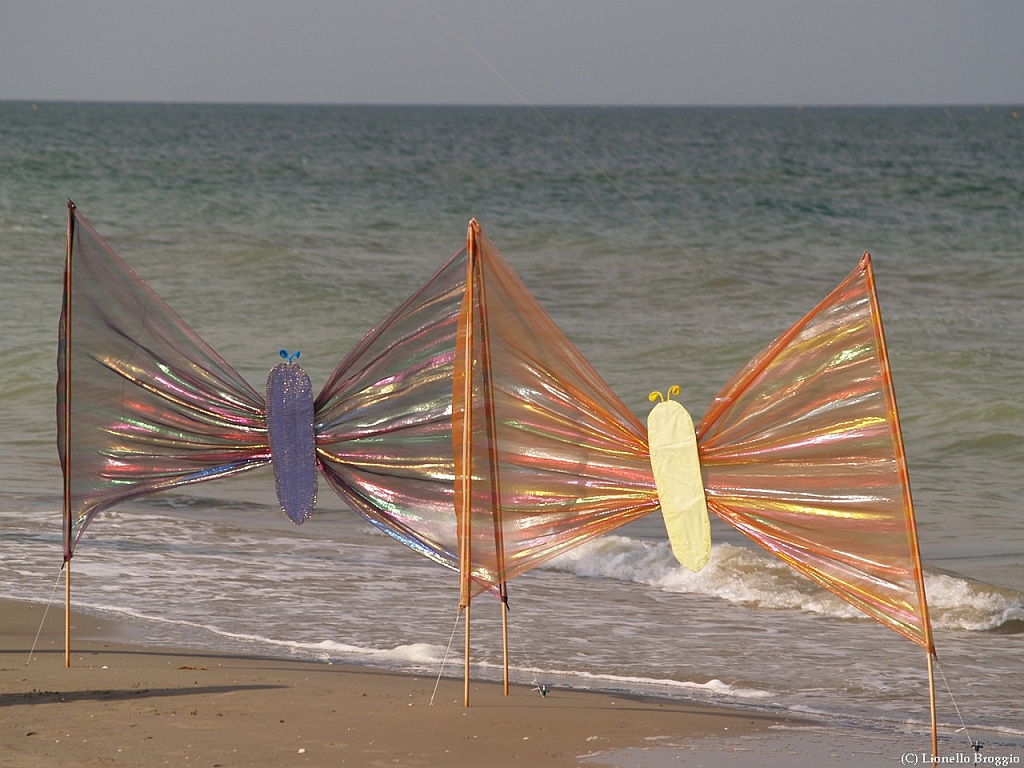 L0300308-a.jpg