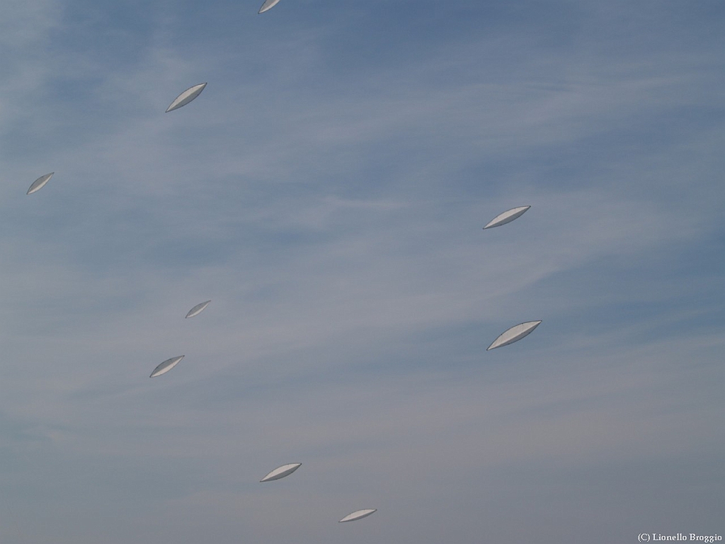 L0300315.jpg