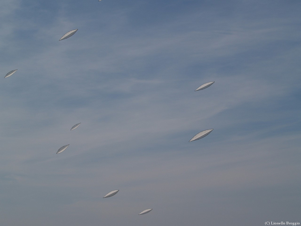 L0300316.jpg