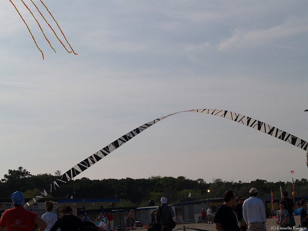 L0300317.jpg
