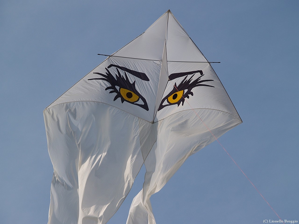 L0300322.jpg