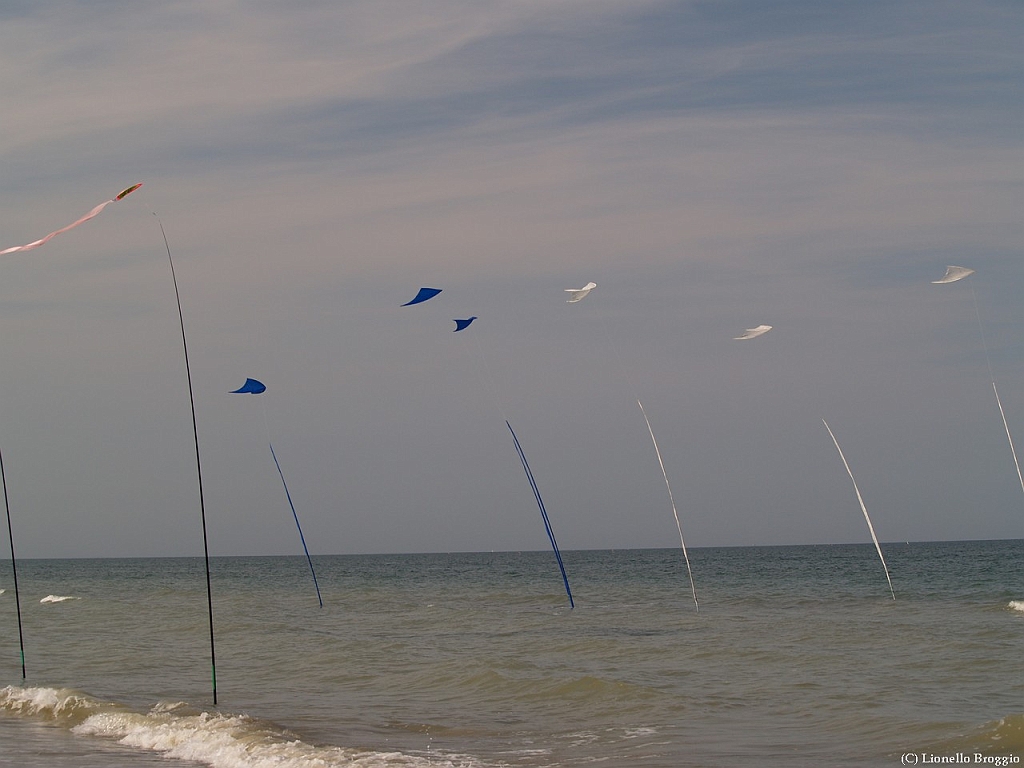 L0300323.jpg