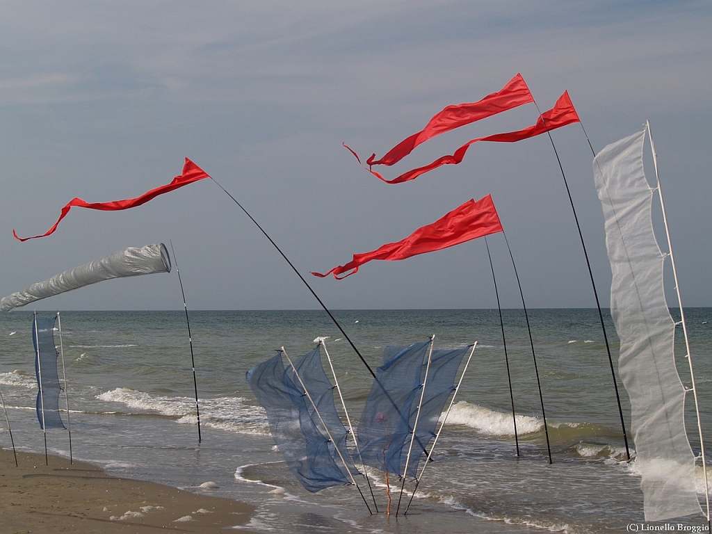L0300328-a.jpg