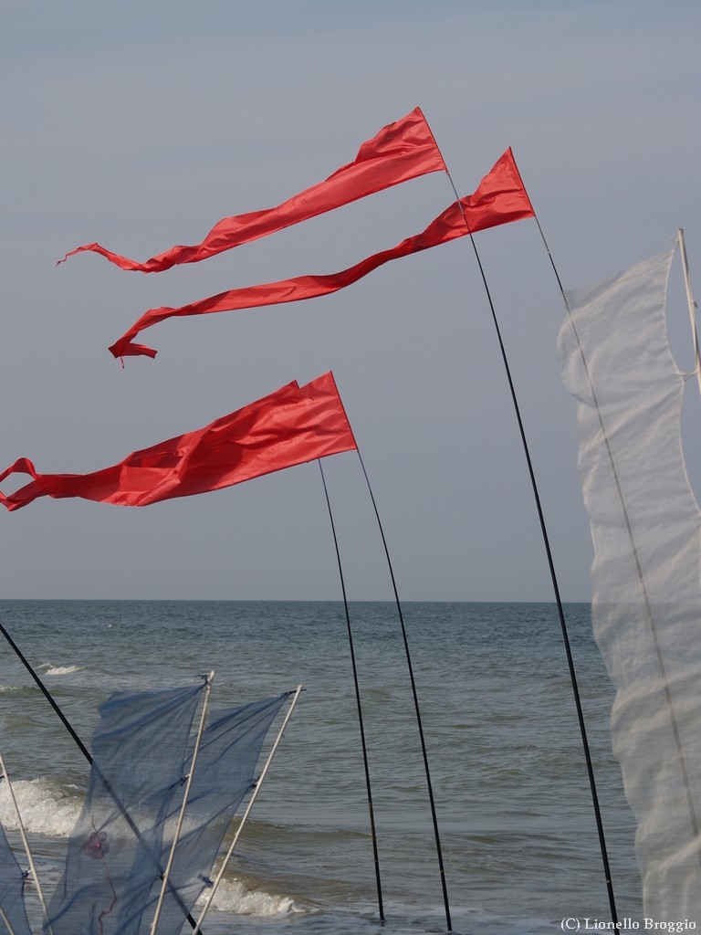 L0300329.jpg