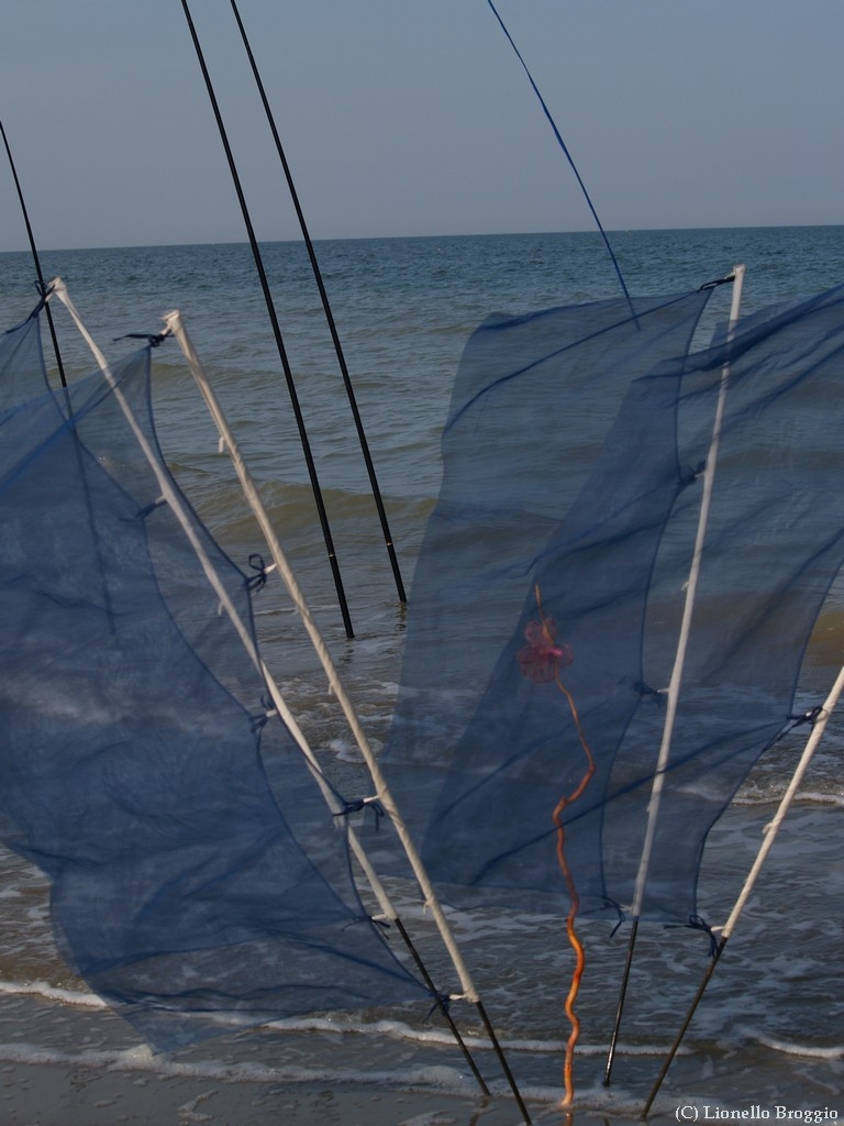 L0300330.jpg