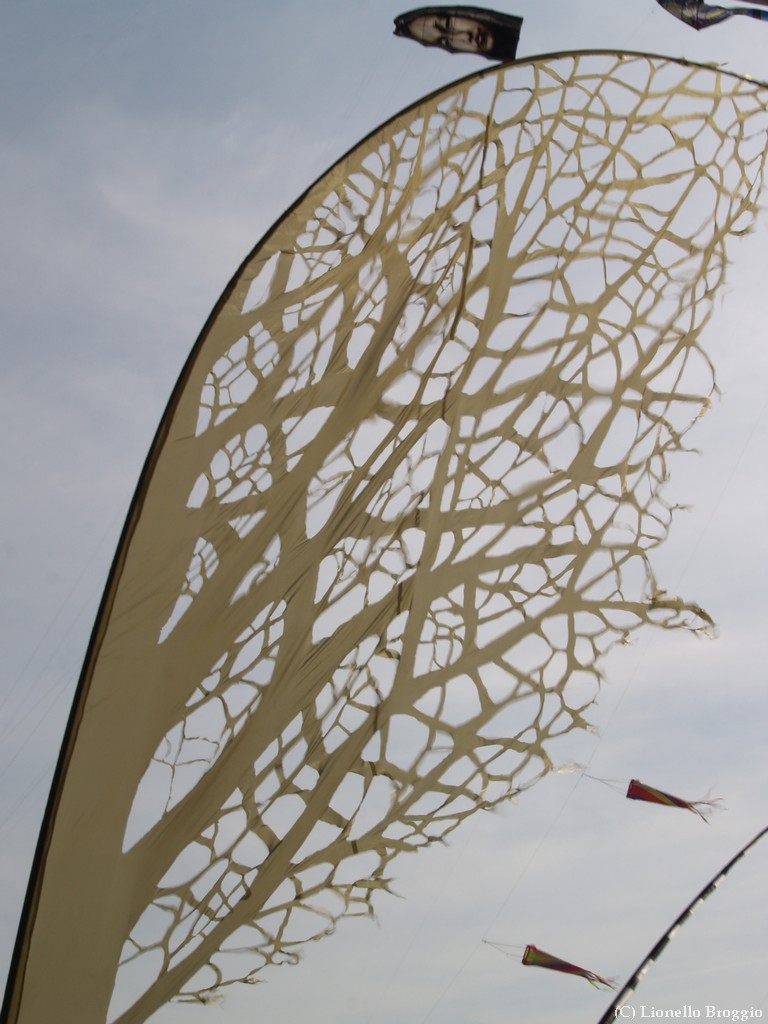 L0300337.jpg