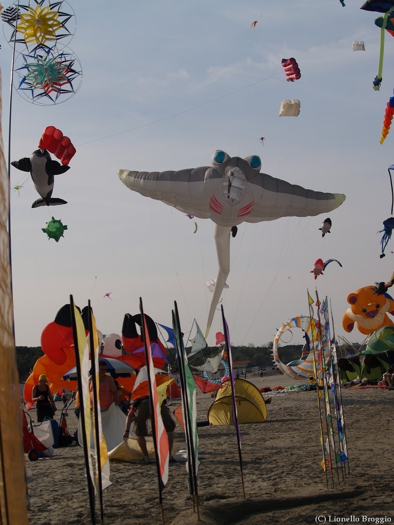 L0300339.jpg
