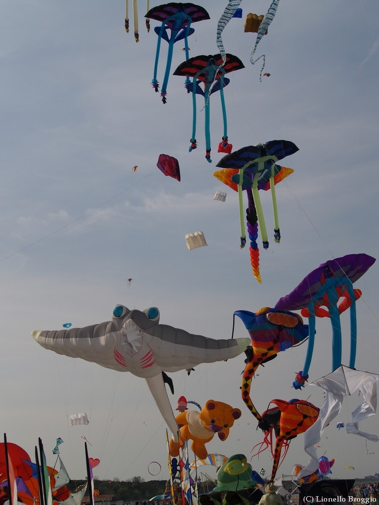 L0300340.jpg