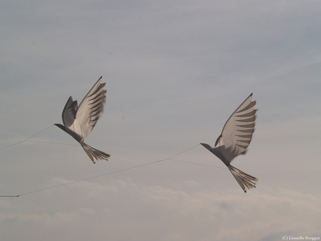 L0300343.jpg