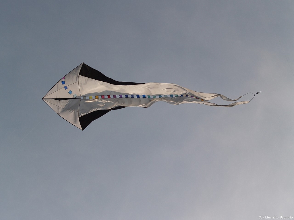 L0300346.jpg