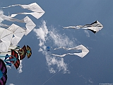 L0010352