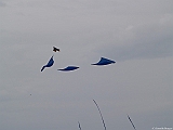 L0020566