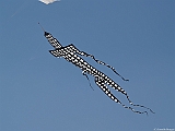 L0300201