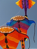 L0300213
