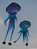L0300221
