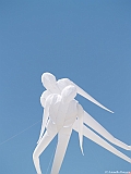 L0300229
