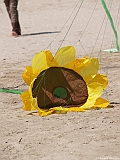 L0300232