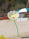 L0300233