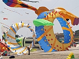 L0300236
