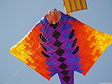 L0300256