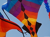 L0300257