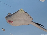 L0300261