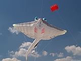 L0300264