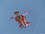 L0300266
