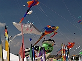 L0300271