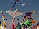 L0300272