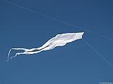 L0300278
