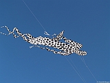 L0300281
