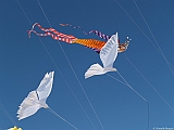 L0300285