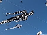 L0300287