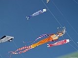 L0300289