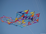 L0300294