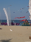L0300296