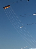 L0300299
