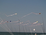 L0300300
