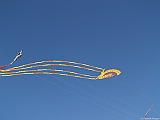 L0300303