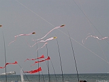 L0300307