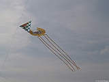 L0300313