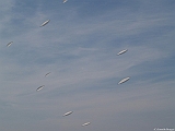 L0300315