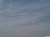 L0300316