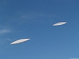 L0300320
