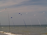 L0300323