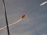 L0300327