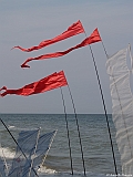 L0300329