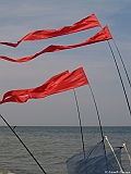 L0300331